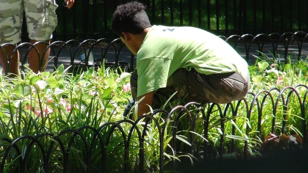 DSC00028-Greenlife-interns-1066-x-600-1.jpg