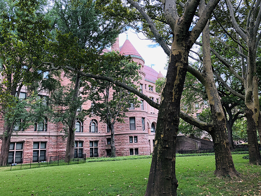 Theodore Roosevelt Park + AMNH.jpg