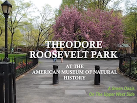 Theodore Roosevelt Park video image