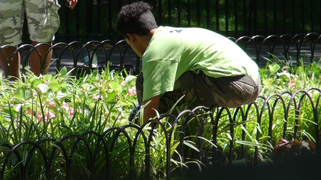 Greenlife interns