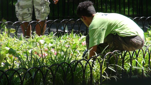 GreenLife Interns