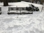 Roosevelt Park bench surrounded by snow